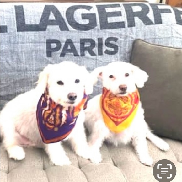 Meet your Posher, Alexander - Picture 1 of 4